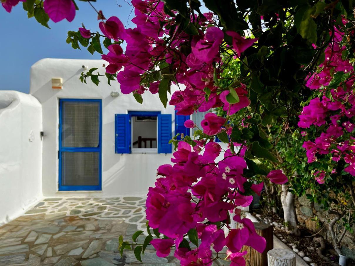 Panormos Escape Dreamy Coastal Villa Panormos (Mykonos)